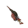 Striped Shell+